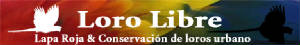 banner-loro-libre.jpg