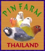 pinfarm.jpg